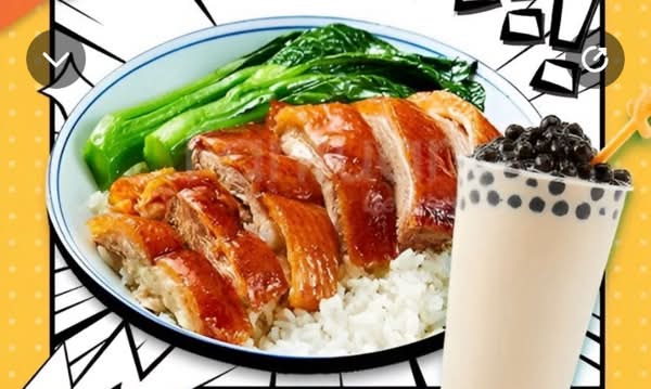 Roasted Duck Rice / 烧鸭饭